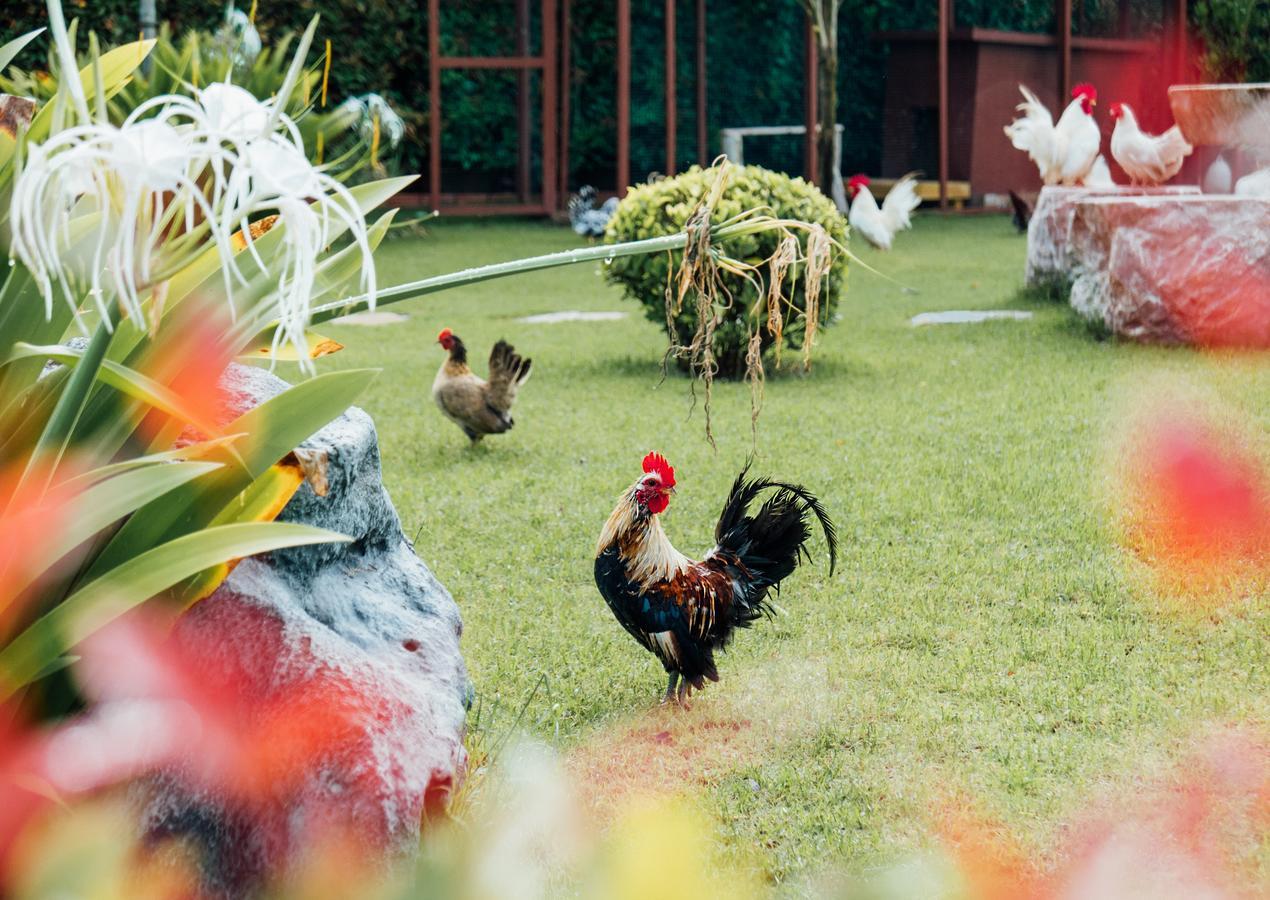 Rai Fahpratan Home And Garden Ban Pak Ngam  ภายนอก รูปภาพ