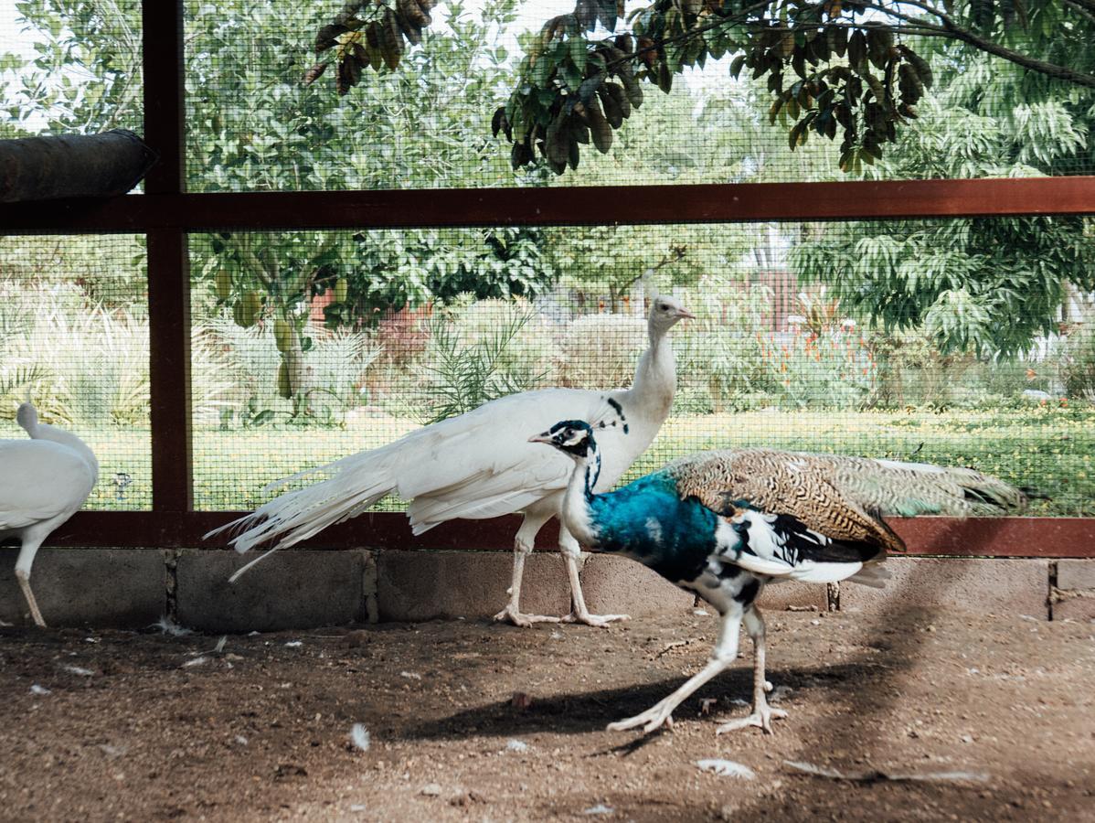 Rai Fahpratan Home And Garden Ban Pak Ngam  ภายนอก รูปภาพ